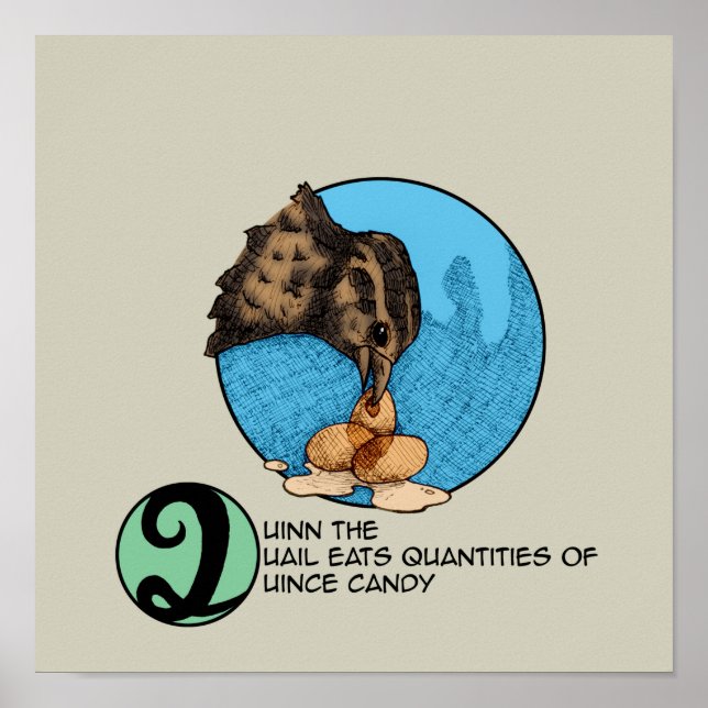 Quinn the Quail Poster (Front)