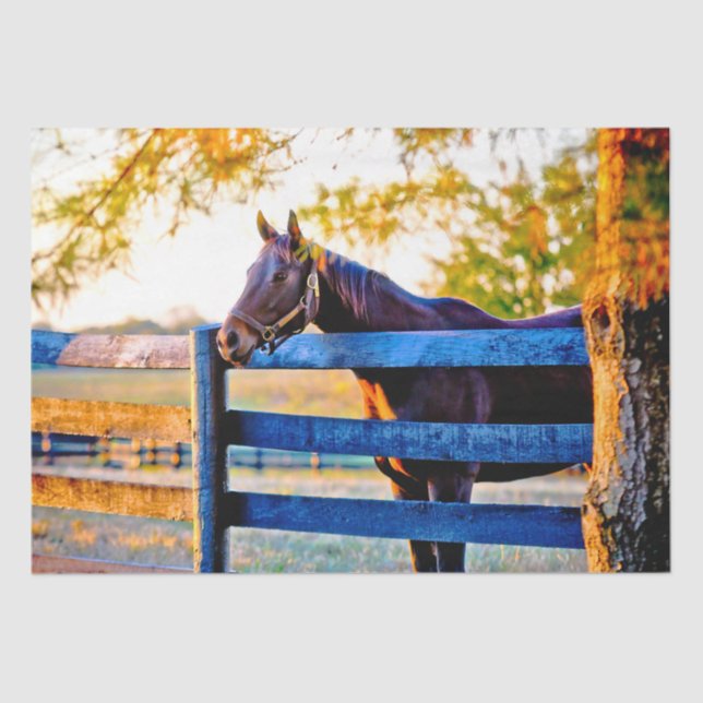 Quintessential Kentucky - Horse In Field  Tissue P Paper (Front)