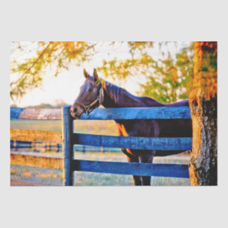 Quintessential Kentucky - Horse In Field  Tissue P Tissue Paper