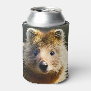 Quintin The Ginger Quokka, Can Cooler