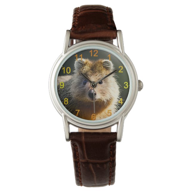 Quintin The Ginger Quokka, Wrist Watch (Front)