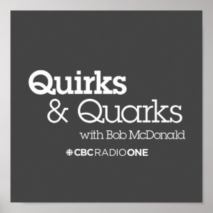 Quirks & Quarks Poster