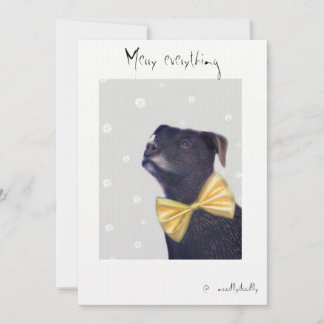 Quirky cards for loved ones