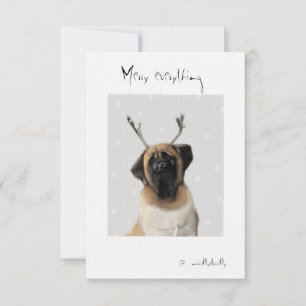 Quirky cards for loved ones