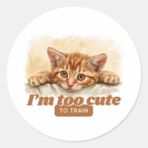 Quirky Cat Gifts for Animal Lovers