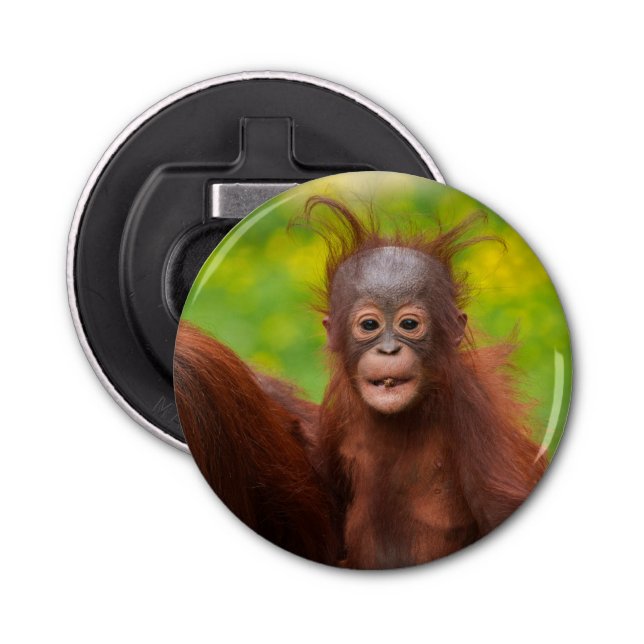 Quirky Charm of an Orangutan Baby Bottle Opener (Front)
