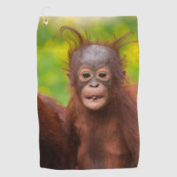 Quirky Charm of an Orangutan Baby