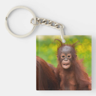 Quirky Charm of an Orangutan Baby Key Ring