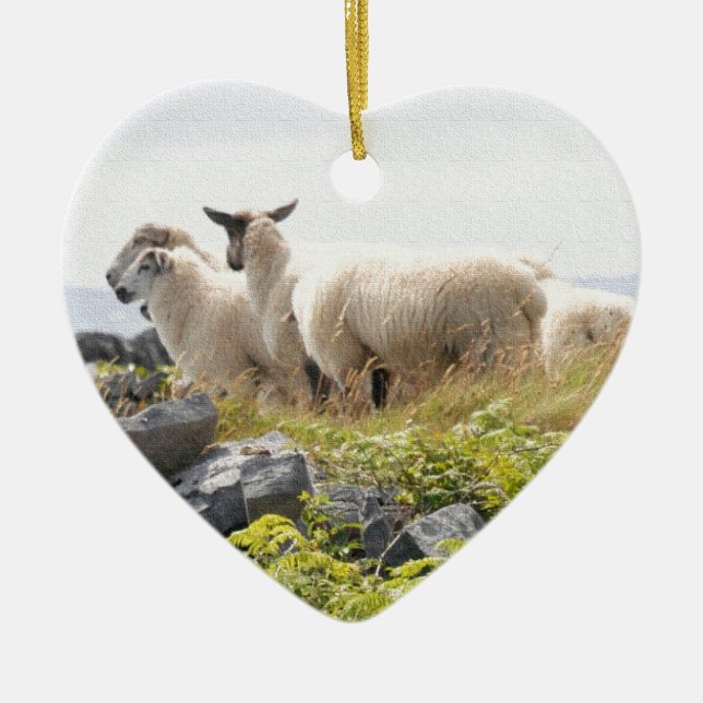 Quirky Designs - Sheep in a field Ceramic Tree Decoration (Front)