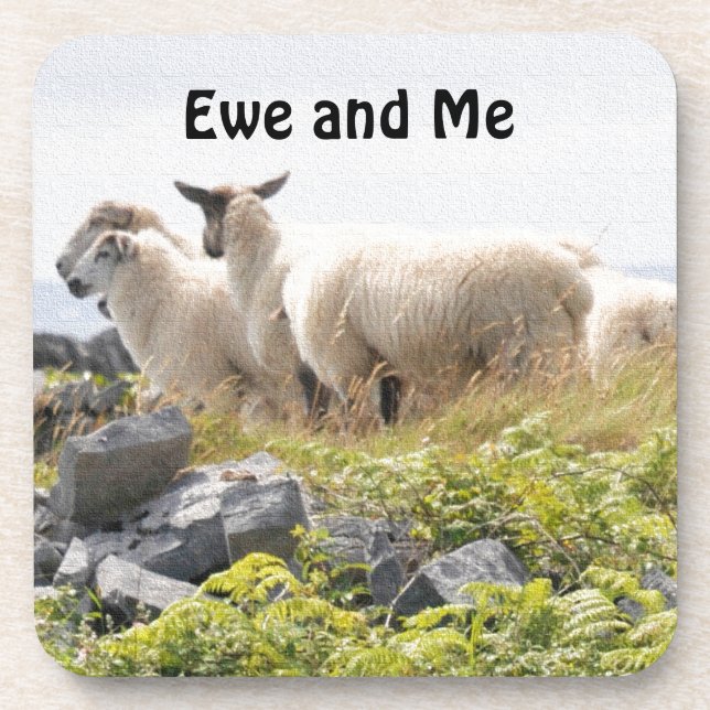 Quirky Designs - Sheep in a field Coaster (Front)