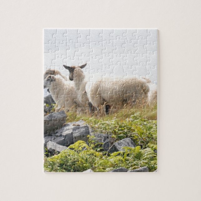 Quirky Designs - Sheep in a field Jigsaw Puzzle (Vertical)