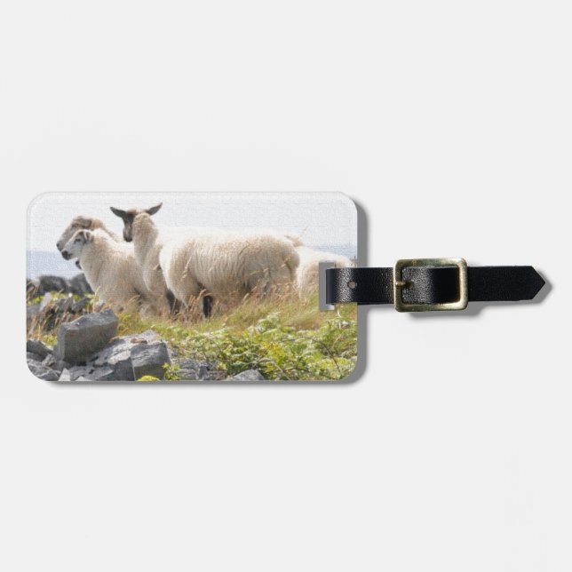 Quirky Designs - Sheep in a field Luggage Tag (Front Horizontal)