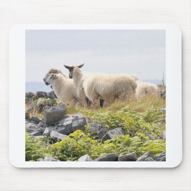 Quirky Designs - Sheep in a field Mouse Mat (Front)