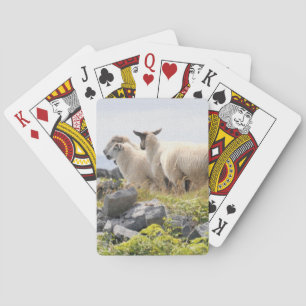 Quirky Designs - Sheep in a field Playing Cards