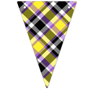 Quirky Eclectic Boho Nonbinary Plaid Pride Flag