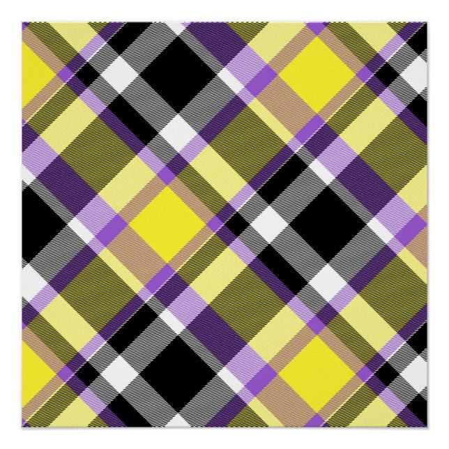 Quirky Eclectic Boho Nonbinary Plaid Pride Flag Poster (Front)
