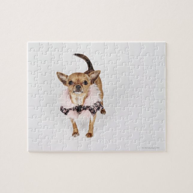 Quirky portrait of a Teacup Chihuahua Jigsaw Puzzle (Horizontal)