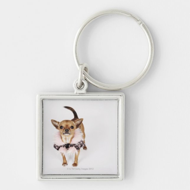 Quirky portrait of a Teacup Chihuahua Key Ring (Front)