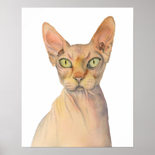 Quirky Sphynx Cat Watercolor Portrait Poster