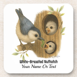 Quirky White-Breasted Nuthatch Coaster