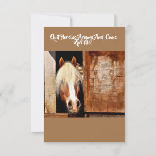 Quit Horsing Around Funny Greeting Card