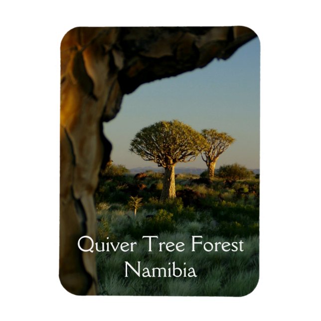 Quiver Tree Forest, Namibia Magnet (Vertical)