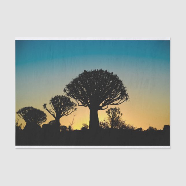Quiver Tree Forest Sunset Tissue Paper (Front)