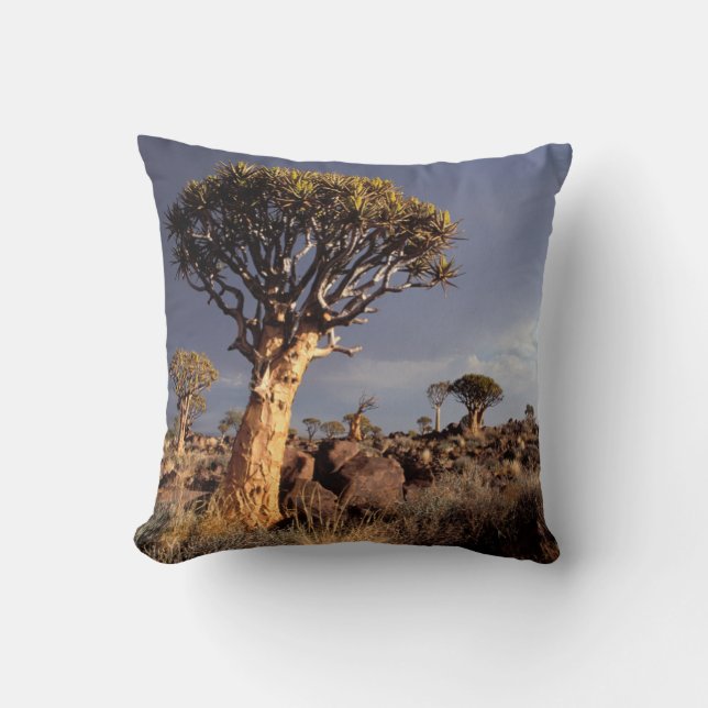 Quiver Trees (Aloe Dichotoma) Cushion (Front)