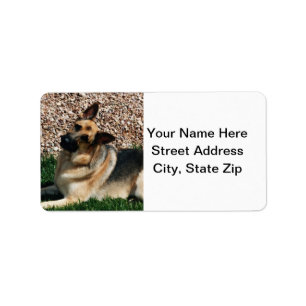 Quizzical German Shepherd Label