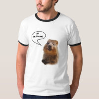 Quokka Gear Quote