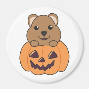 Quokka In Pumpkin Cute Quokkas Happy Halloween Mag Magnet