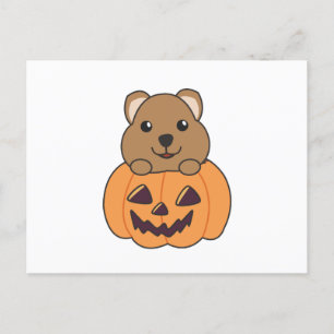 Quokka In Pumpkin Cute Quokkas Happy Halloween Postcard