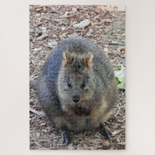 Quokka Jigsaw Puzzle