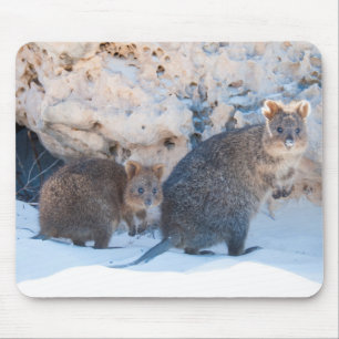 Quokka Mouse Mat