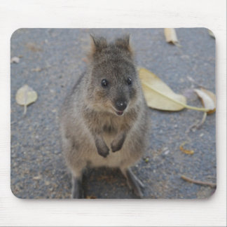 Quokka mouse pad