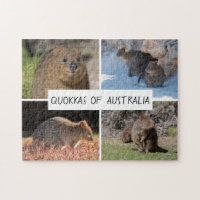 Quokka of Australia, 252 pieces