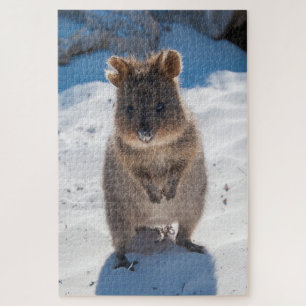 Quokka on the beach, 1014 pieces jigsaw puzzle