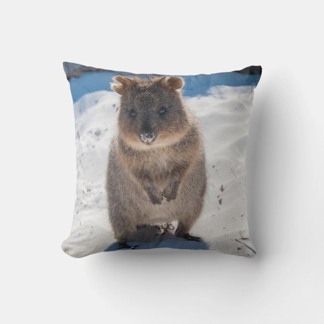 Quokka on the beach cushion (Front)