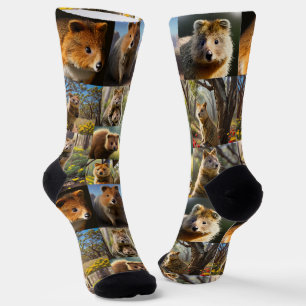 Quokka Photo Collage, Socks