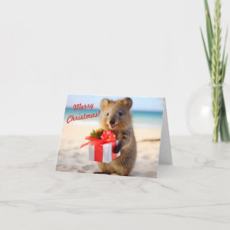 Quokka Selfie at the Beach - Christmas  Card