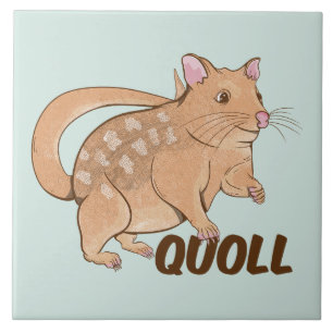 Quoll Australian Marsupial  Tile
