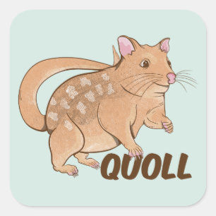 Quoll Square Sticker