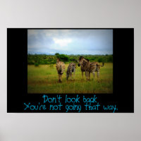 Quote with African Zebras in a Natural Setting.