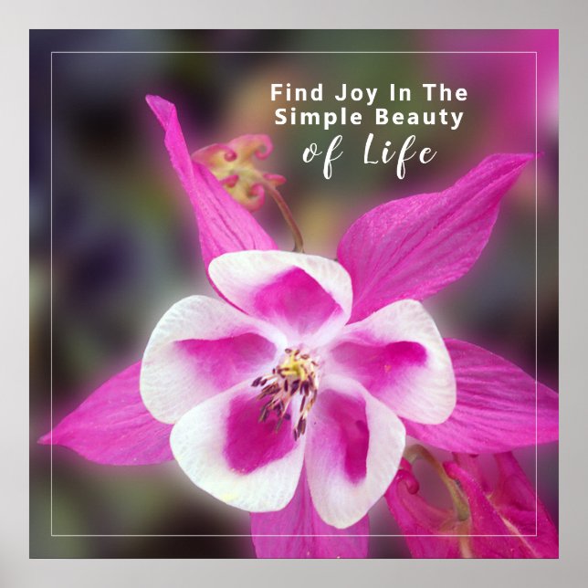 Quote With Columbine Flower Photo Poster (Front)