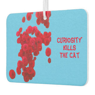 Quotes Car Air Freshener