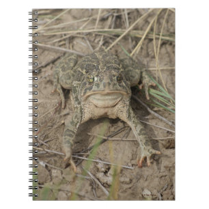 R10 Prairie Toad Notebook