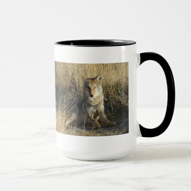 R15 Coyote Laying Mug (Right)