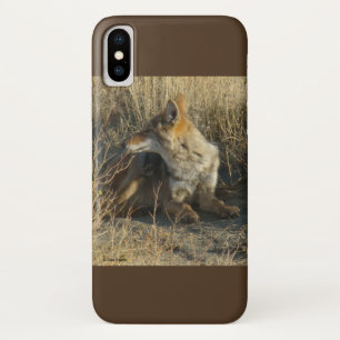 R16 Coyote Scratching iPhone X Case