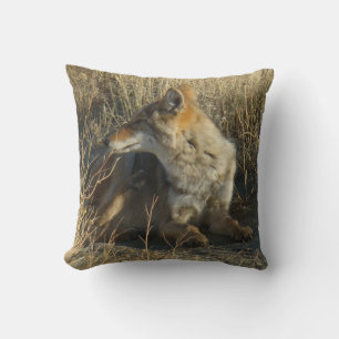 R16 Coyote Scratching Cushion