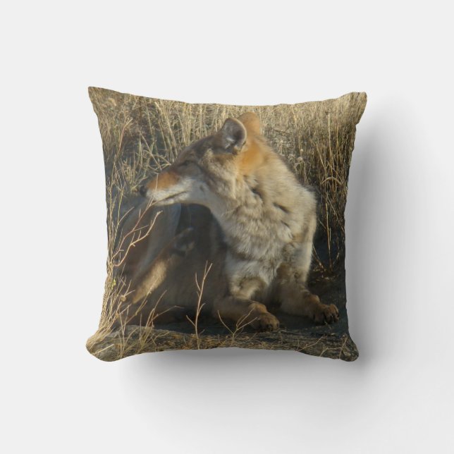 R16 Coyote Scratching Cushion (Front)